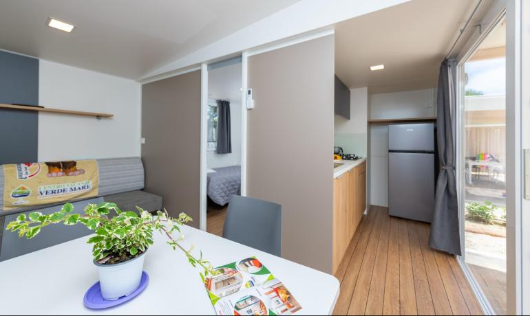 Modern interior with kitchen and plant, view of bedroom and garden.